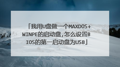 我用U盘做一个MAXDOS+WINPE的启动盘,怎么设置BIOS的第一启动盘为USB