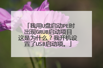 我用U盘启动PE时出现GRUB启动项目这是为什么?我开机设置了USB启动项。