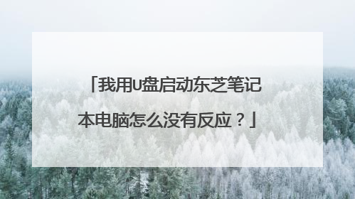 我用U盘启动东芝笔记本电脑怎么没有反应?