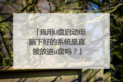 我用U盘启动电脑下好的系统是直接放进u盘吗?