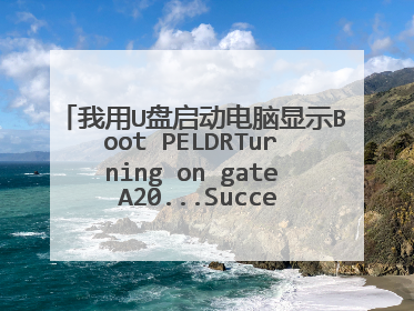 我用U盘启动电脑显示Boot PELDRTurning on gate A20...Success，进不去PE系统？