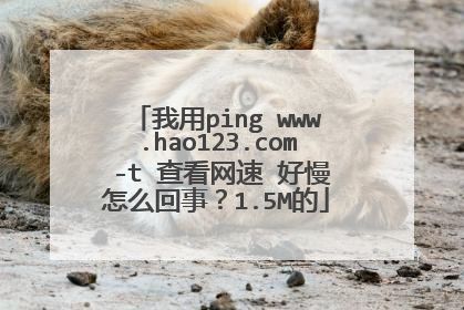 我用ping www.hao123.com -t 查看网速 好慢怎么回事?1.5M的