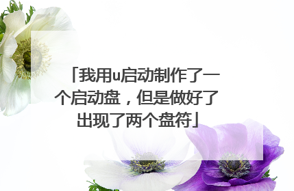 我用u启动制作了一个启动盘,但是做好了出现了两个盘符