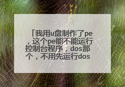 我用u盘制作了pe,这个pe能不能运行控制台程序,dos那个,不用先运行dos直接运行控制台