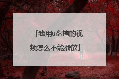 我用u盘拷的视频怎么不能播放