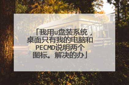 我用u盘装系统,桌面只有我的电脑和PECMD说明两个图标。解决的办