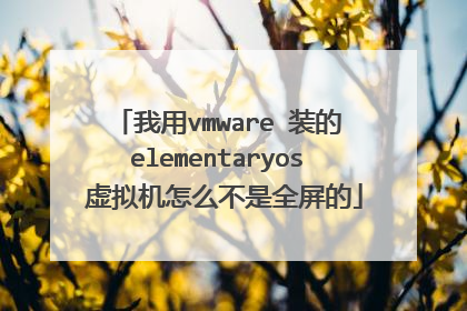 我用vmware 装的elementaryos 虚拟机怎么不是全屏的
