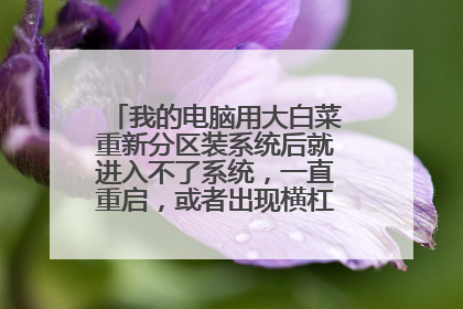我的电脑用大白菜重新分区装系统后就进入不了系统,一直重启,或者出现横杠闪烁,怎么弄?