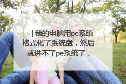 我的电脑用pe系统格式化了系统盘，然后就进不了pe系统了，大神，该怎么办？