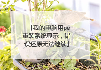 我的电脑用pe重装系统显示，错误还原无法继续