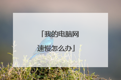 我的电脑网速慢怎么办