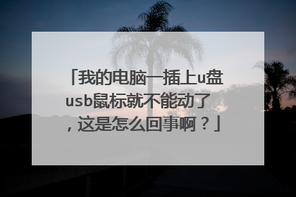 我的电脑一插上u盘usb鼠标就不能动了,这是怎么回事啊?