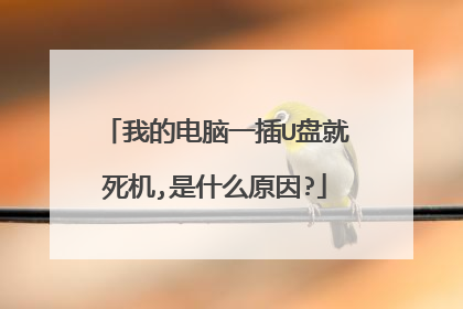 我的电脑一插U盘就死机,是什么原因?