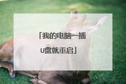 我的电脑一插U盘就重启