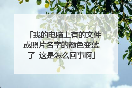 我的电脑上有的文件或照片名字的颜色变蓝了 这是怎么回事啊