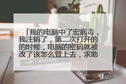 我的电脑中了宏病毒,我注销了,第二次打开的的时候,电脑的密码就被改了该怎么登上去,求助,我家电脑是