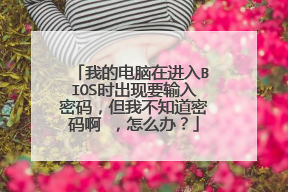 我的电脑在进入BIOS时出现要输入密码,但我不知道密码啊 ,怎么办?