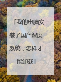 我的电脑安装了国产深度系统，怎样才能卸载