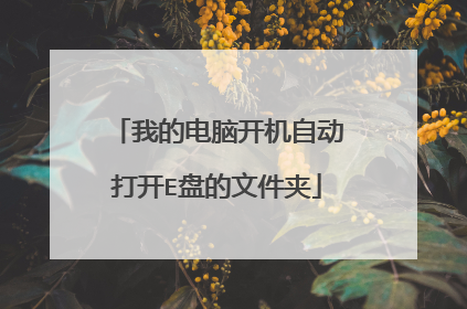我的电脑开机自动打开E盘的文件夹