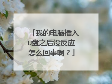 我的电脑插入U盘之后没反应怎么回事啊？