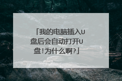 我的电脑插入U盘后会自动打开U盘!为什么啊?