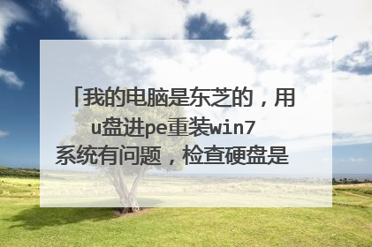 我的电脑是东芝的,用u盘进pe重装win7系统有问题,检查硬盘是发现文件系统是raid,但是只有一