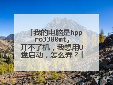 我的电脑是hppro3380mt,开不了机，我想用U盘启动，怎么弄？