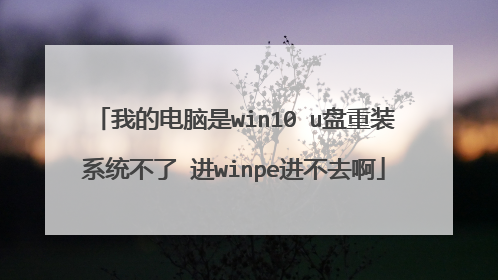 我的电脑是win10 u盘重装系统不了 进winpe进不去啊