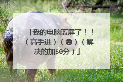 我的电脑蓝屏了!!(高手进)(急)(解决的加50分)