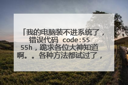我的电脑装不进系统了，错误代码 code:5555h，跪求各位大神知道啊。。各种方法都试过了，求解，5555