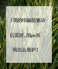 我的电脑装驱动后蓝屏,用pe系统怎么维护