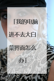 我的电脑进不去大白菜界面怎么办