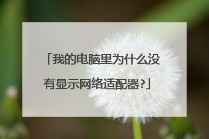我的电脑里为什么没有显示网络适配器?