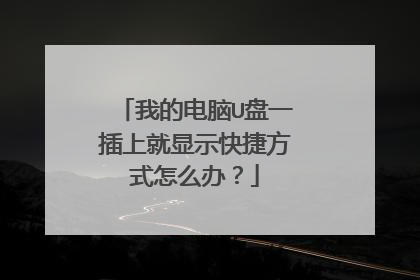我的电脑U盘一插上就显示快捷方式怎么办?