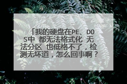 我的硬盘在PE、DOS中 都无法格式化 无法分区 也低格不了,检测无坏道,怎么回事啊?还能修好么?