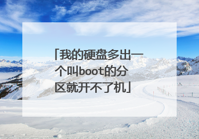我的硬盘多出一个叫boot的分区就开不了机
