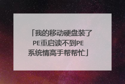 我的移动硬盘装了PE重启读不到PE系统情高手帮帮忙