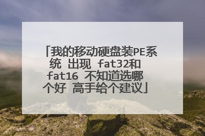 我的移动硬盘装PE系统 出现 fat32和fat16 不知道选哪个好 高手给个建议
