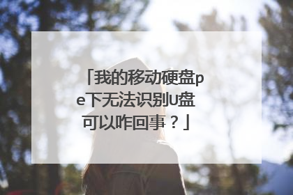 我的移动硬盘pe下无法识别U盘可以咋回事?
