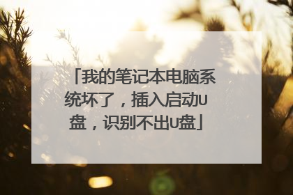 我的笔记本电脑系统坏了，插入启动U盘，识别不出U盘