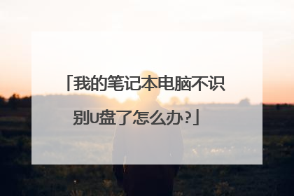 我的笔记本电脑不识别U盘了怎么办?