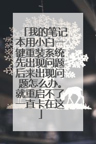 我的笔记本用小白一键重装系统先出现问题后来出现问题怎么办。就重启不了一直卡在这