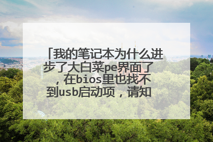 我的笔记本为什么进步了大白菜pe界面了，在bios里也找不到usb启动项，请知道的大神指点一二？