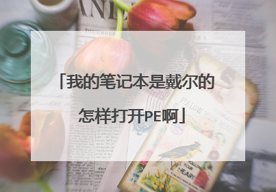 我的笔记本是戴尔的 怎样打开PE啊