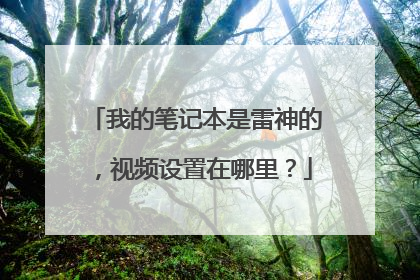 我的笔记本是雷神的,视频设置在哪里?