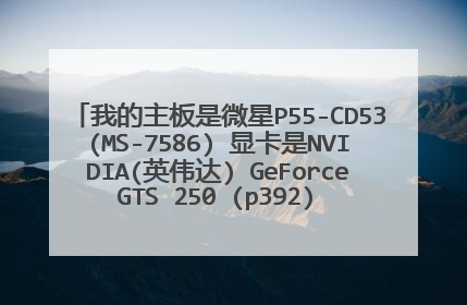 我的主板是微星P55-CD53(MS-7586) 显卡是NVIDIA(英伟达) GeForce GTS 250 (p392) 我的显卡驱动总是弄不好