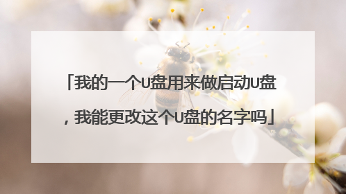 我的一个U盘用来做启动U盘，我能更改这个U盘的名字吗