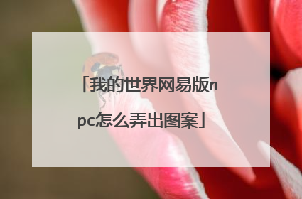 我的世界网易版npc怎么弄出图案