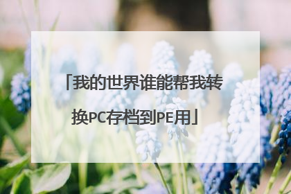 我的世界谁能帮我转换PC存档到PE用
