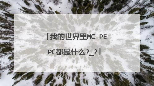 我的世界里MC PE PC都是什么?_?